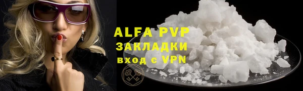 индика Пестово