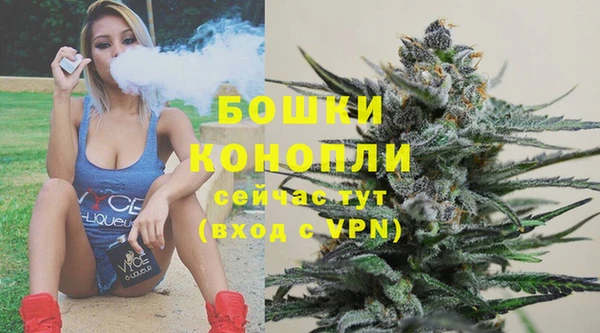 PSILOCYBIN Абаза