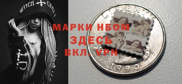 индика Пестово