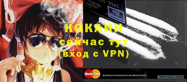 кокс Алексин