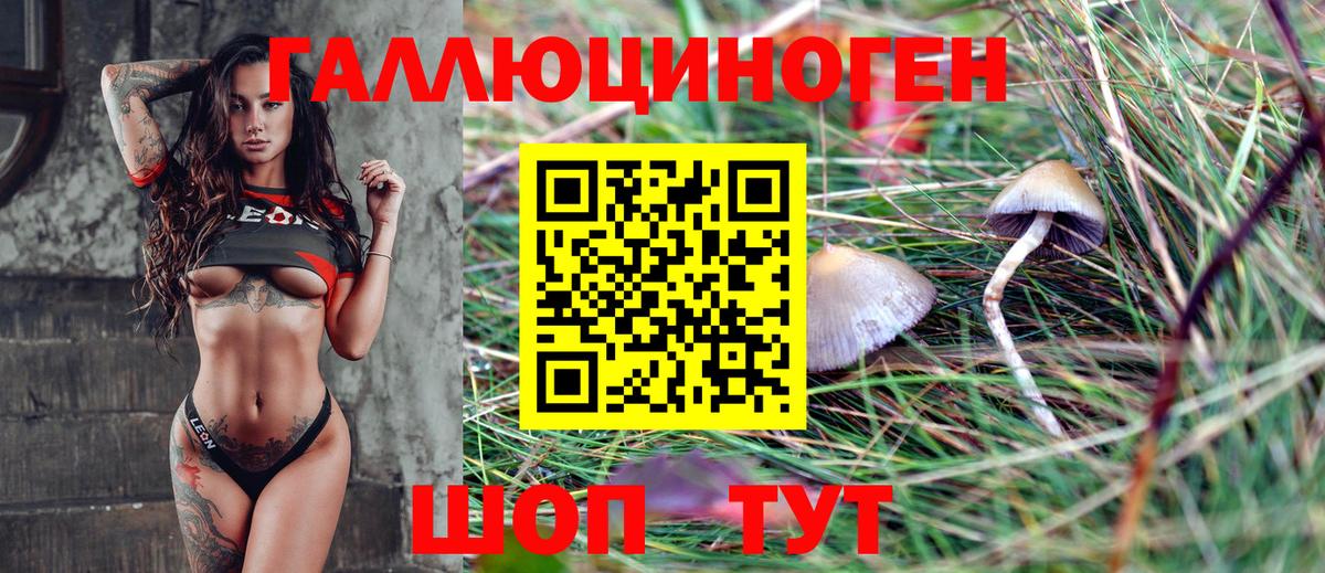 Галлюциногенные грибы GOLDEN TEACHER Партизанск