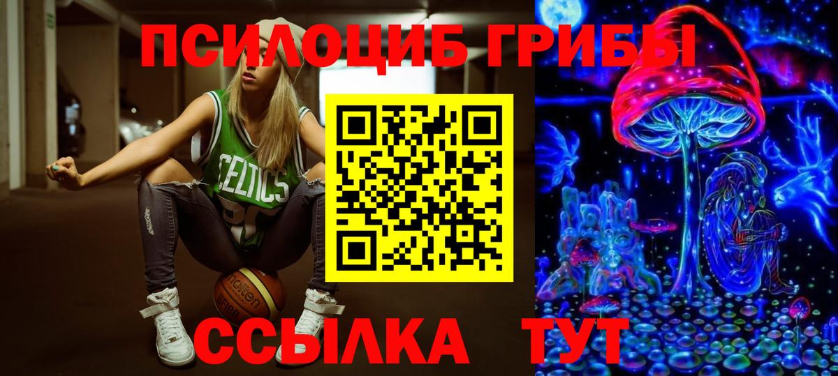 Псилоцибиновые грибы прущие грибы  Вход с VPN  Партизанск 