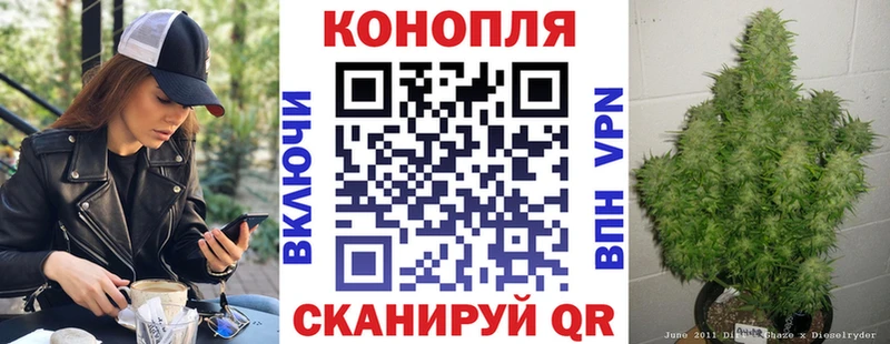 Бошки Шишки Amnesia  Партизанск 