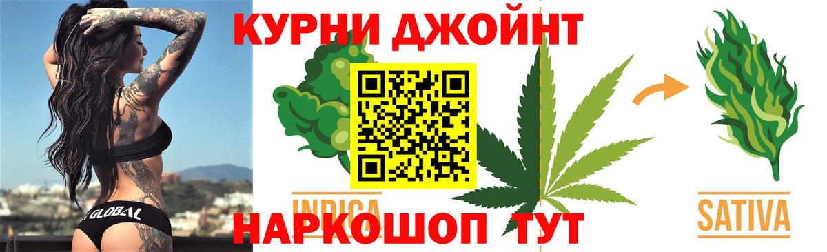Конопля сатива Партизанск